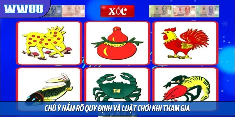 Chú ý nắm rõ quy định và luật chơi khi tham gia