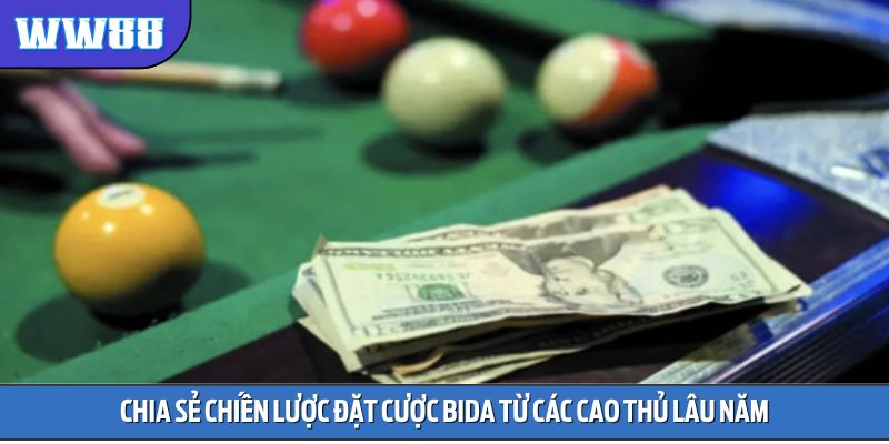 Chia sẻ chiến lược đặt cược Bida từ các cao thủ lâu năm
