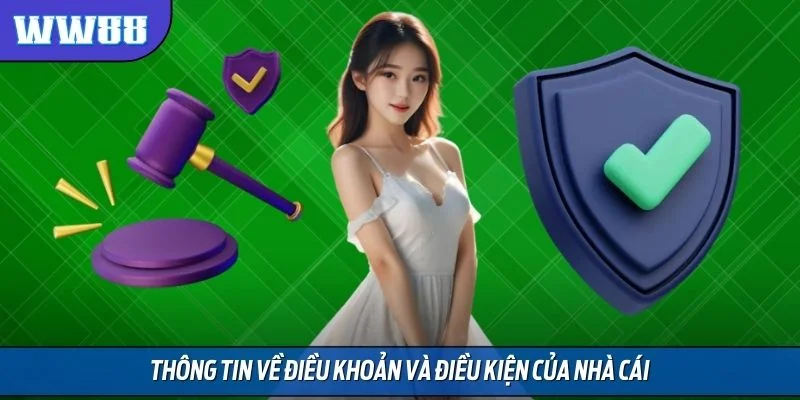 Thông tin về điều khoản và điều kiện của nhà cái