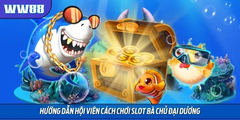 Quy trình tham gia Slot bà chủ đại dương nhanh chóng