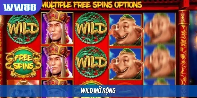 Biểu tượng Wild mở rộng