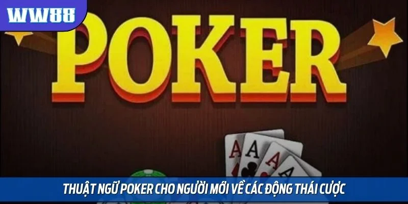 Thuật ngữ poker cho người mới về các động thái cược