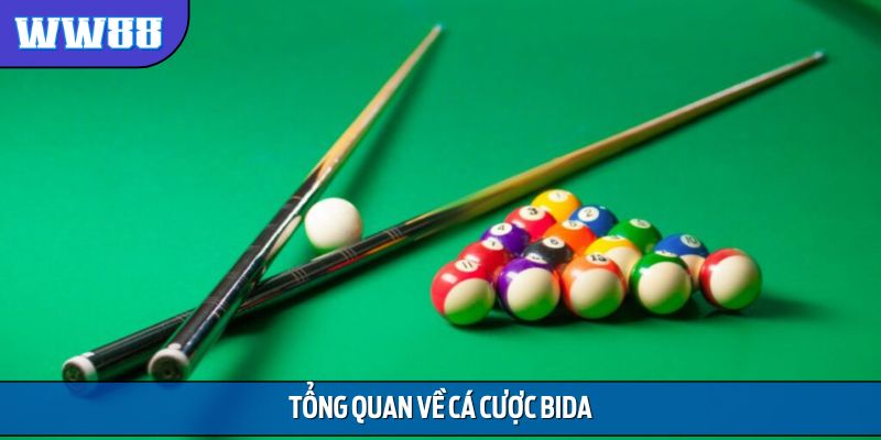 Tổng quan về cá cược Bida