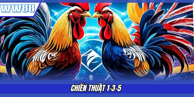 Chiến thuật 1-3-5 