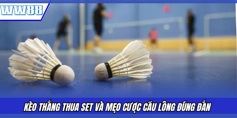 Kèo thắng thua set và mẹo cược cầu lông đúng đắn 
