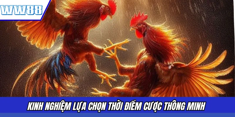 Kinh nghiệm lựa chọn thời điểm cược thông minh 