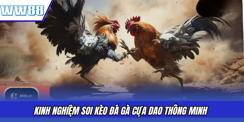 Kinh nghiệm soi kèo đá gà cựa dao thông minh
