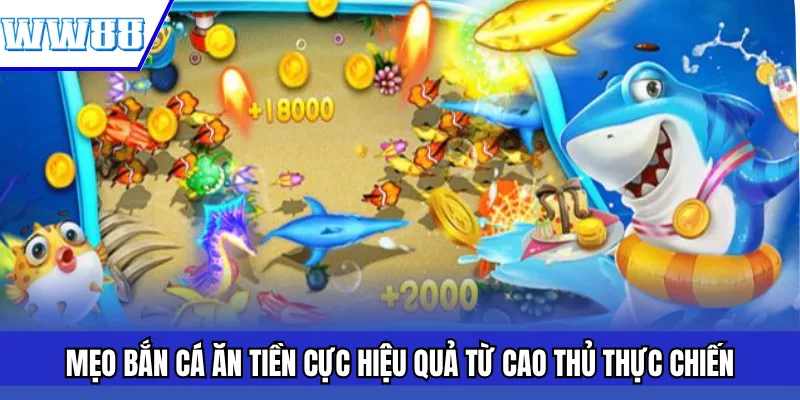 Mẹo Bắn Cá Ăn Tiền Cực Hiệu Quả Từ Cao Thủ Thực Chiến