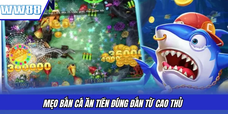 Mẹo bắn cá ăn tiền đúng đắn từ cao thủ