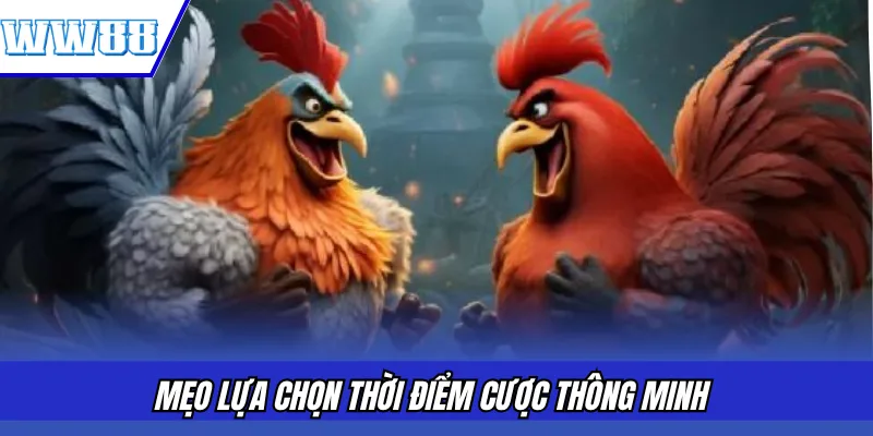 Mẹo lựa chọn thời điểm cược thông minh