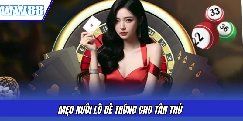 Mẹo nuôi lô dễ trúng cho tân thủ 