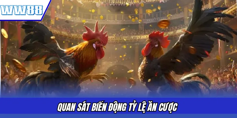 Quan sát biến động tỷ lệ ăn cược