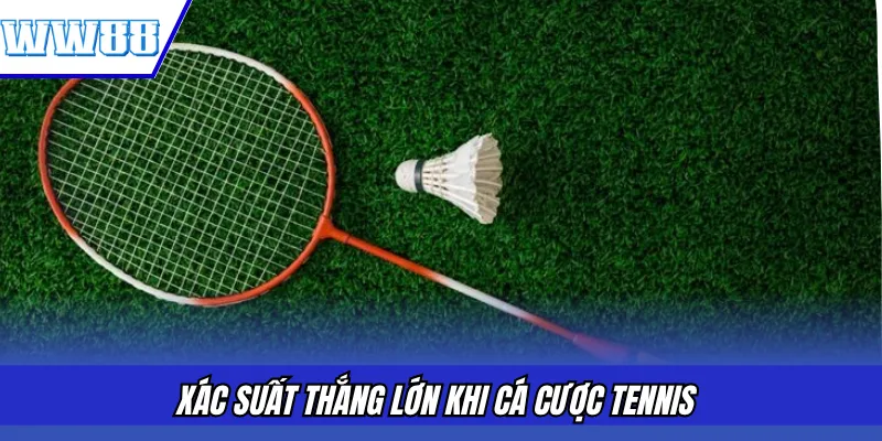 Xác suất thắng lớn khi cá cược tennis 